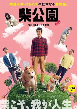 91在线小视频